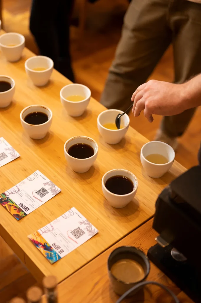 Sorba rendezett kóstolócsészék sötét és világos főzetekkel egy nyilvános Café Tiko kóstolón